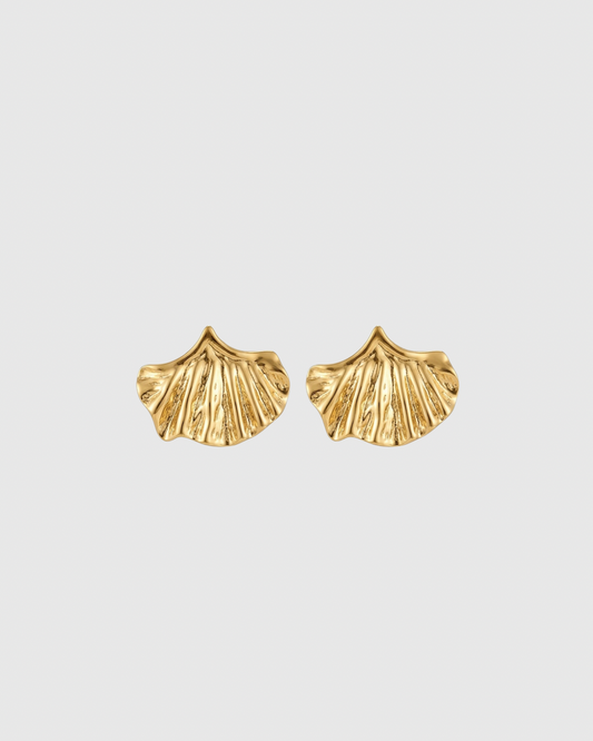 Coral Shell Earrings