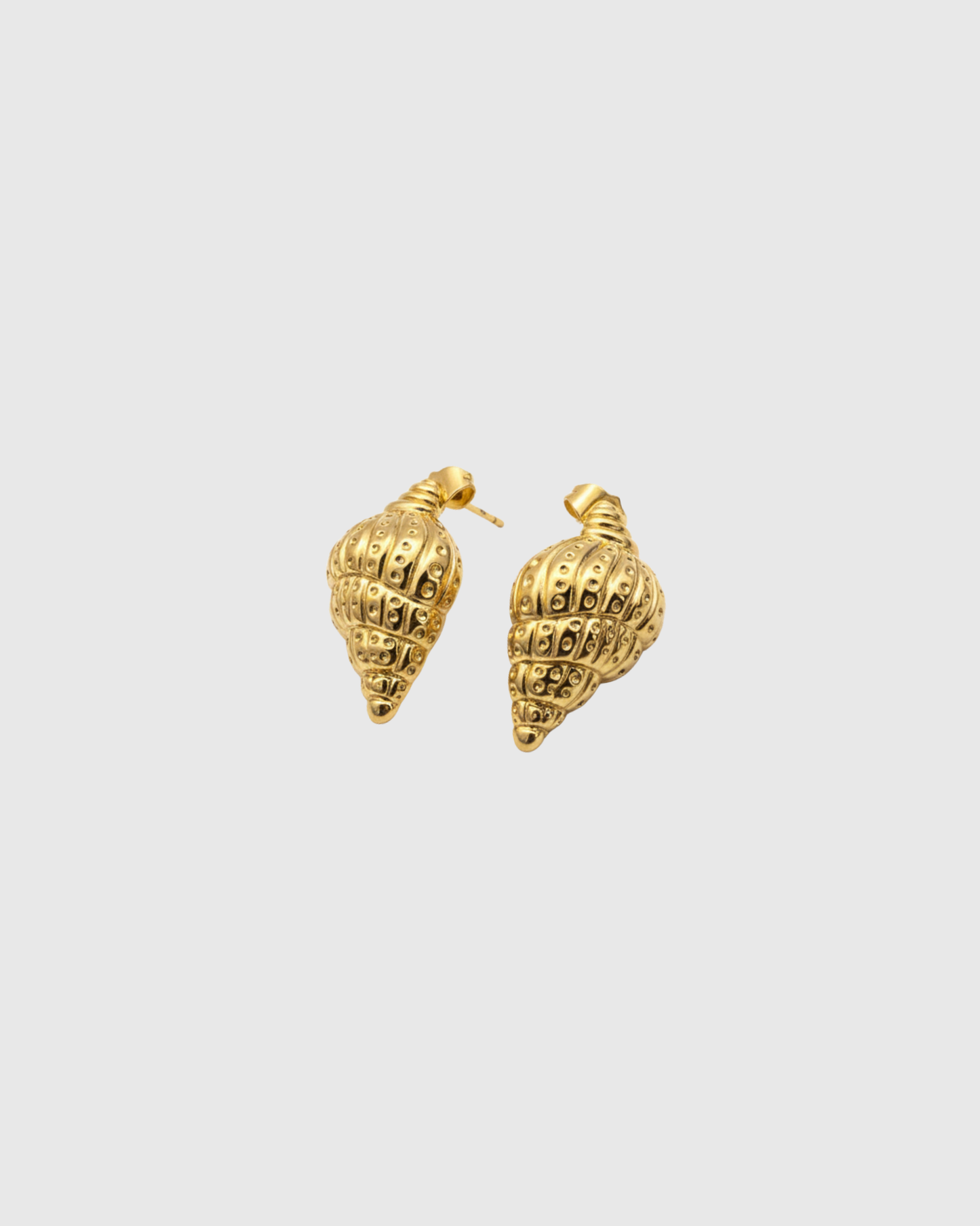 Shell Earrings